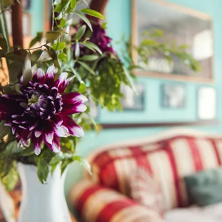 Bed & Breakfast La Torre Capannori